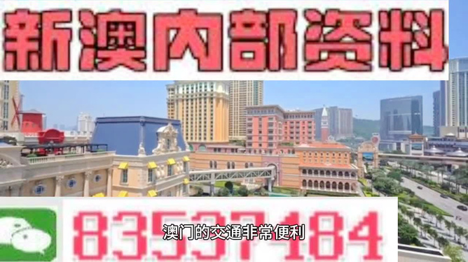 新澳门免费精准大全，详细解答、解释与落实